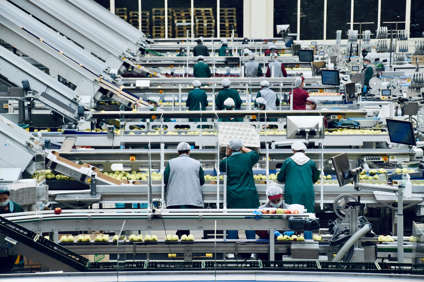 Planta de procesado y selección de fruta